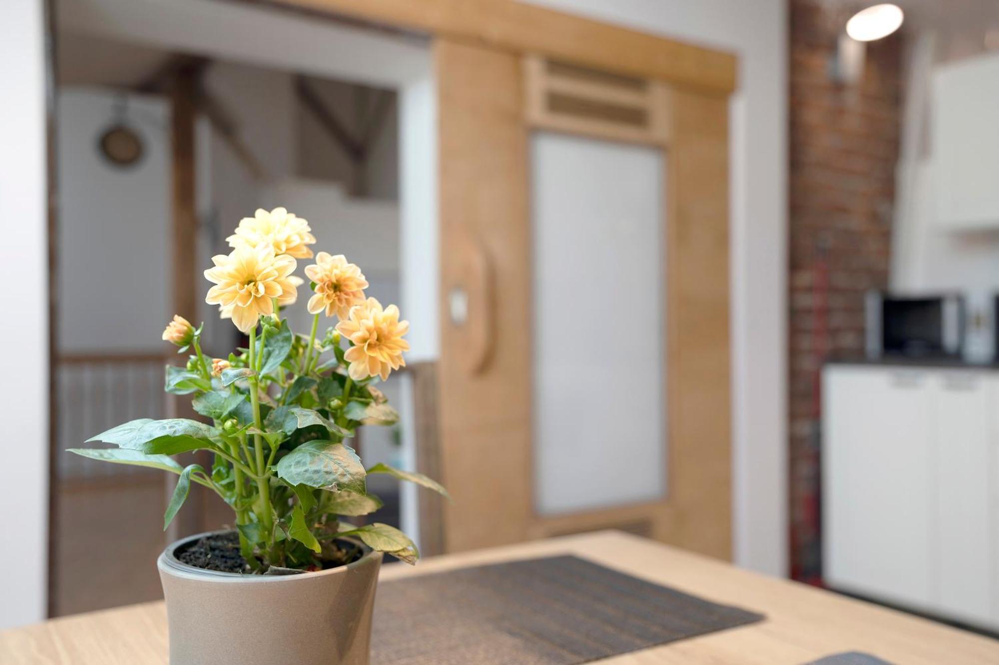 Loft Sven Apartment Baden-Baden Ngoại thất bức ảnh